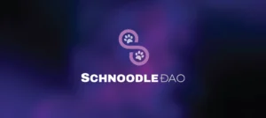 Schnoodle DAO