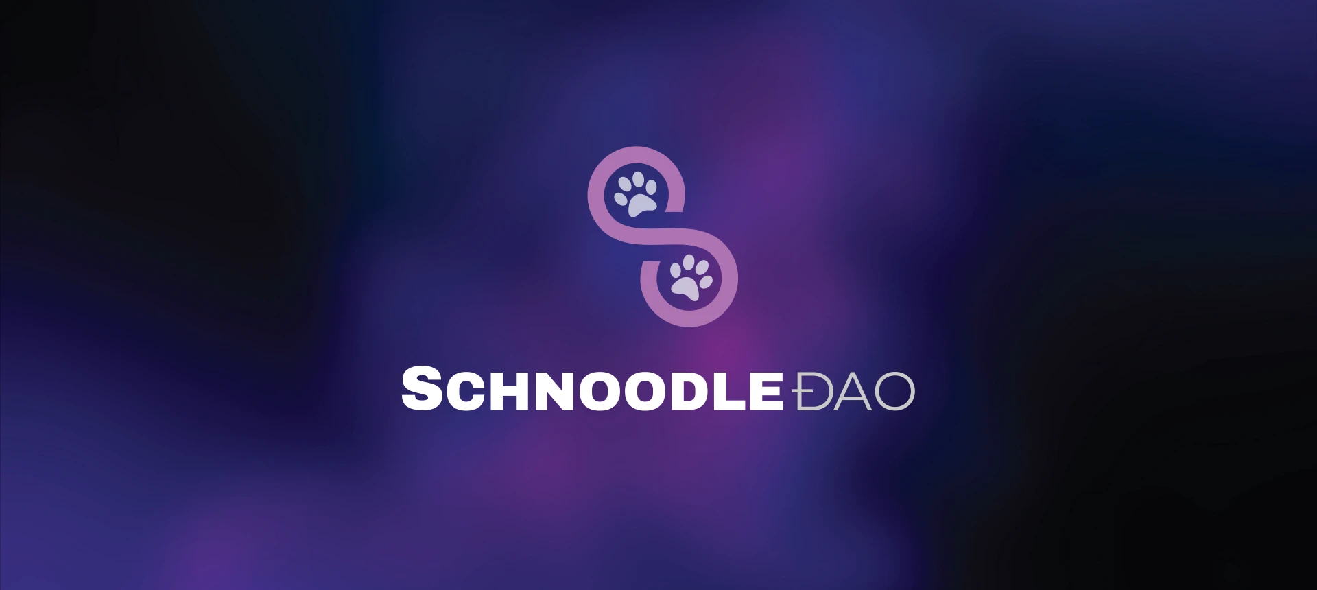 Schnoodle DAO