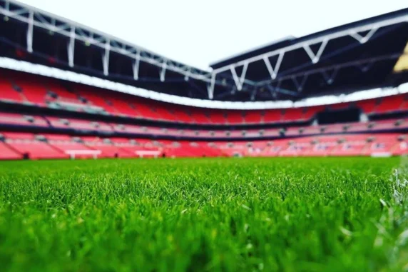Wembley Stadium Pitch