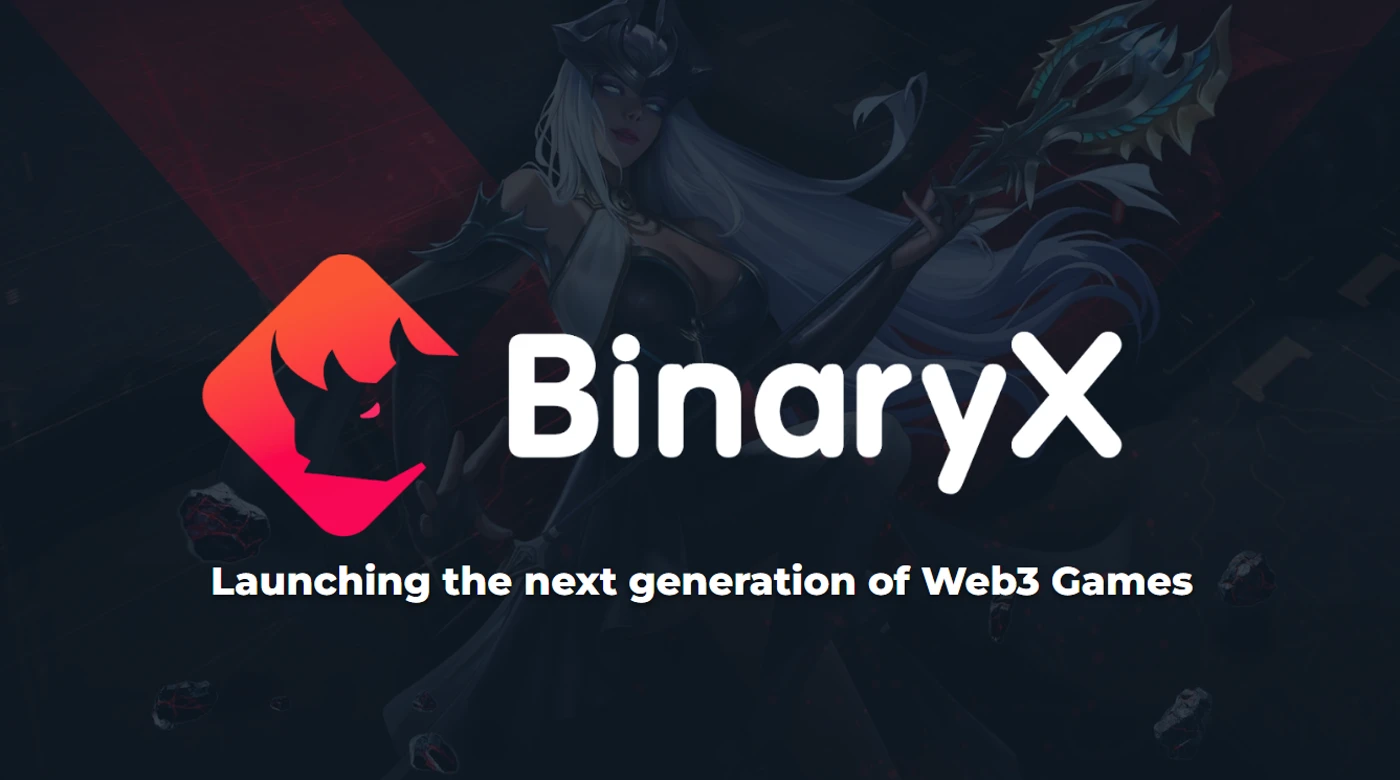 BinaryX