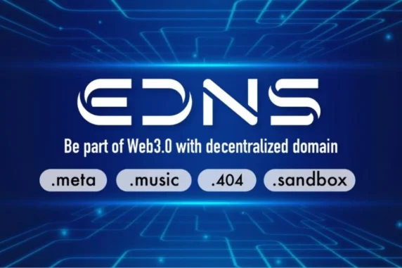 EDNS Domains