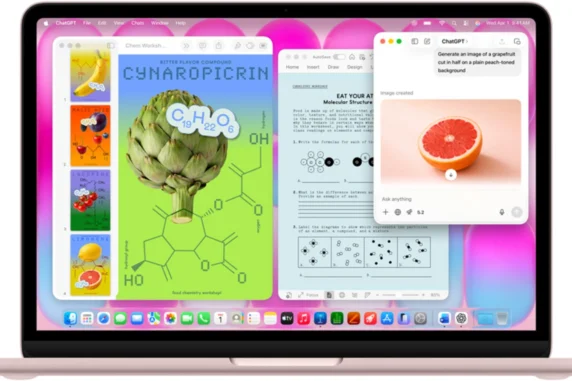 Apple MacBook Neo Display